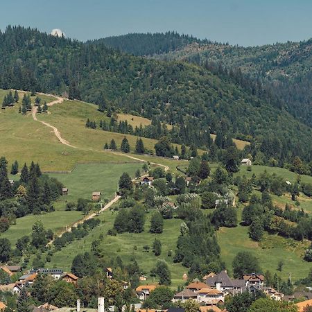 Vila Genia Câmpulung Moldovenesc Εξωτερικό φωτογραφία